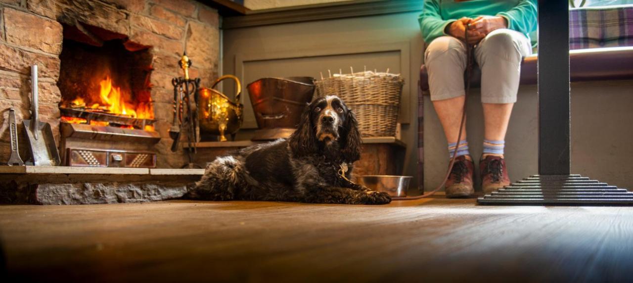 Dryburgh Arms Pub With Rooms Мелроуз Экстерьер фото